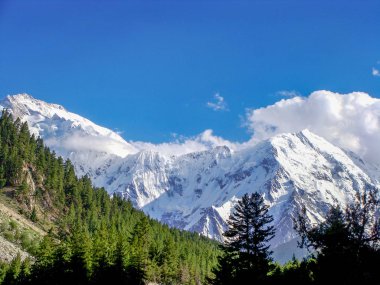 Snow capped Nanga Parbat peak also know as the killer mountain  clipart