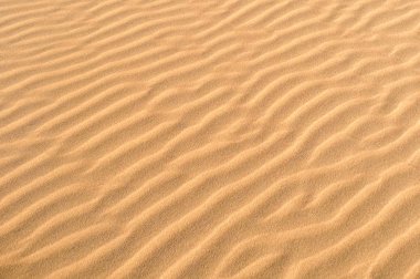 Soyut arka plan ve altın kum dokusu 