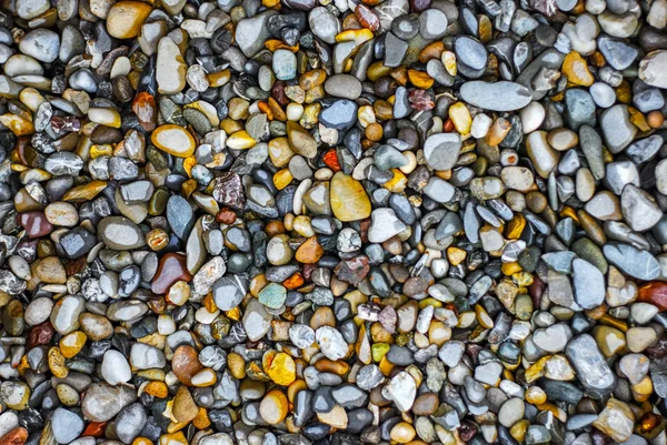 Multicolored wet stones and pebbles as background