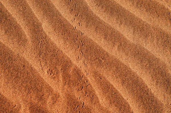 Золотая Текстура Песка Качестве Фона — стоковое фото