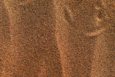 Kumun kahverengi dokusu 