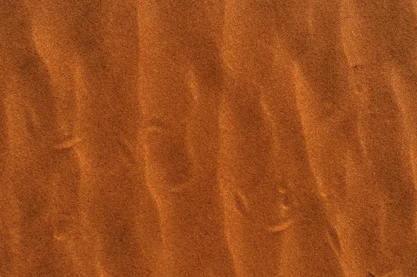 沙中的裂痕 — 图库照片