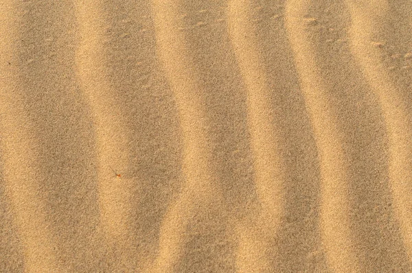 Rippled Texture Sand — Stock Photo, Image