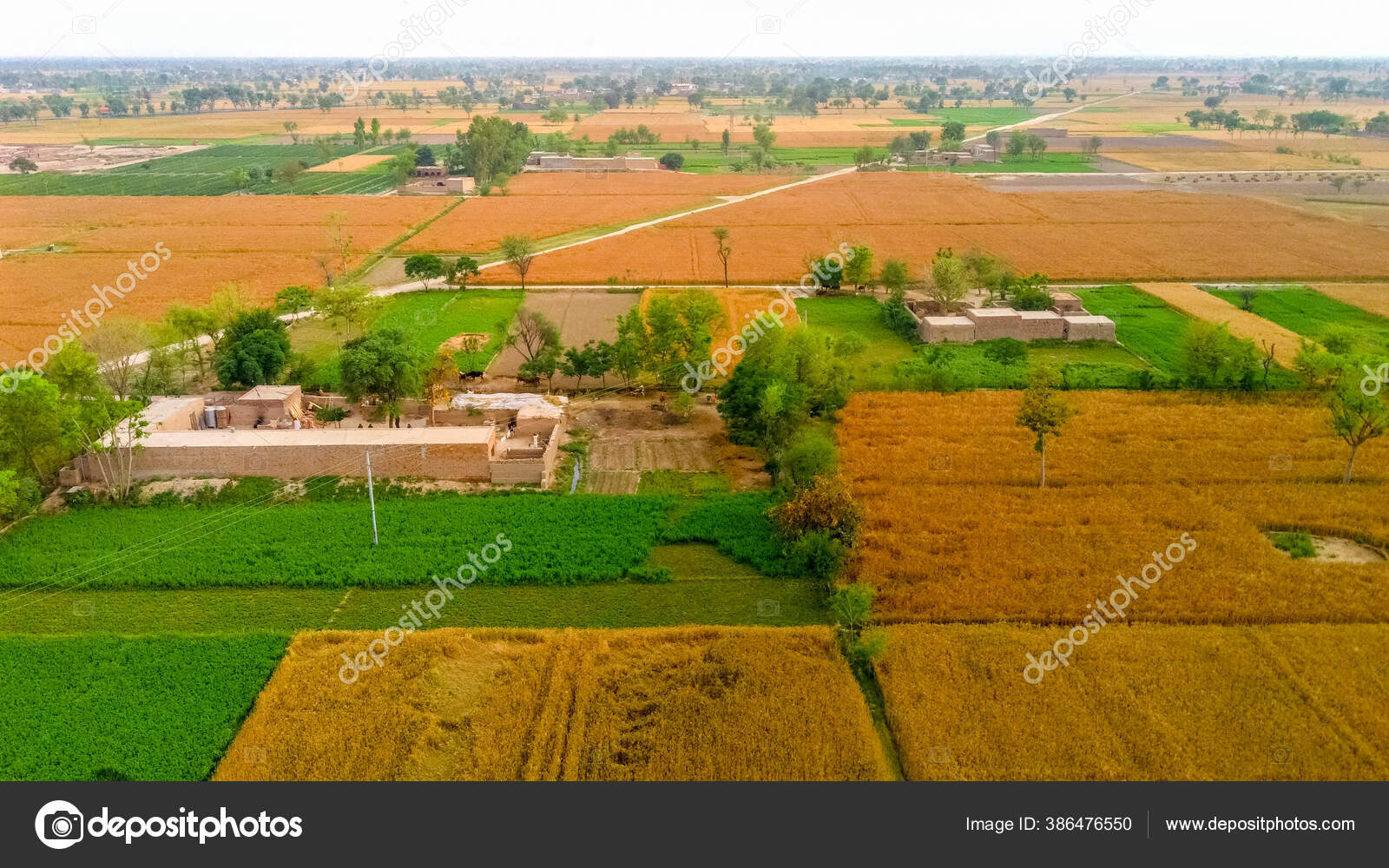 Punjab village Stock Photos, Royalty Free Punjab village Images |  Depositphotos