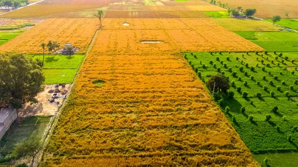 農業景観の空中風景 — ストック写真