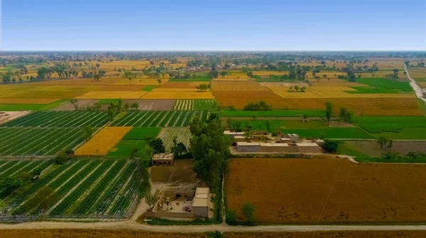 パンジャブの農業風景の空中ビュー — ストック写真