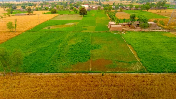 Aerial View Countryside Punjab Province — Stock Photo, Image