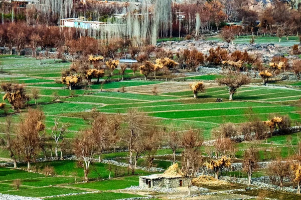 Boeiend Uitzicht Een Dorp Hunza Vallei Langs Karakoram Snelweg — Stockfoto