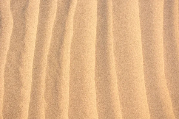 Zlatá Textura Zvlněného Písku — Stock fotografie