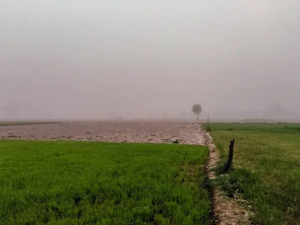 Smog Landbouwgebied — Stockfoto