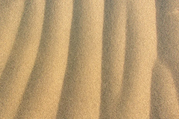 Pattern Texture Sand Dune — Stock Photo, Image