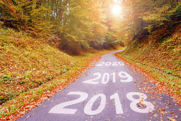Надпись 2018, 2019, 2020 На дороге, которая идет вперед, среди лесов осенью светит солнце
.