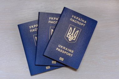 Ukraynalı biyometrik pasaport gri bir arka plan üzerinde