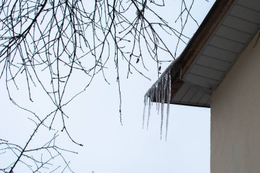 bir evin çatısı, birçok buz sarkıtları
