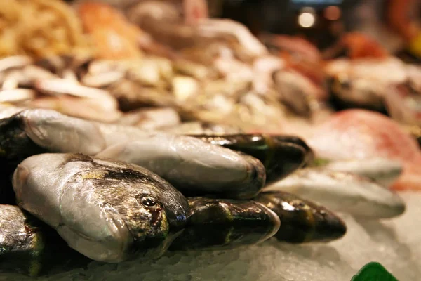 Barcelona Spain August 2007 Fish Stall Boqueria Food Market Barcelona — Stock Photo, Image