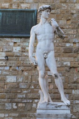 Floransa, İtalya - 27 Ağustos 2018: Floransa'daki Michelangelo David heykelinin gölgesi ile kopyası, Piazza della Signoria, Floransa.