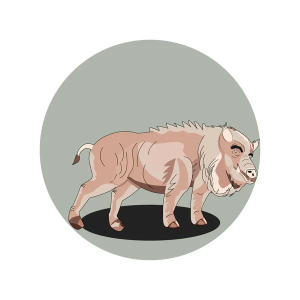 Het vrolijke varken is realistisch, mooi, met een kleine staart. — Stockvector