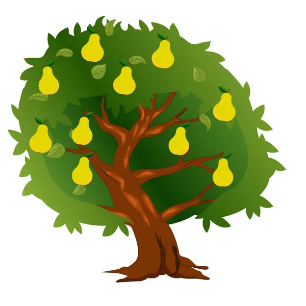 Δέντρο αχλαδιών με καρπούς και πράσινα φύλλα — Διανυσματικό Αρχείο
