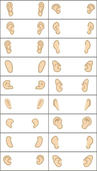Jogo de orelhas diferentes. ícone, vetor, no fundo branco. grelha — Vetor de Stock