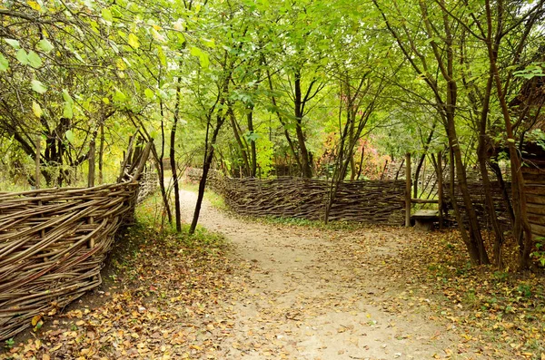 Landelijke weg — Stockfoto