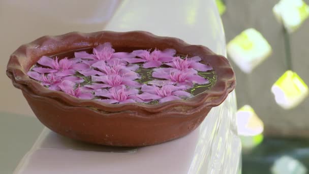 ピンクの花と水を入れたボウルのクローズ アップ — ストック動画