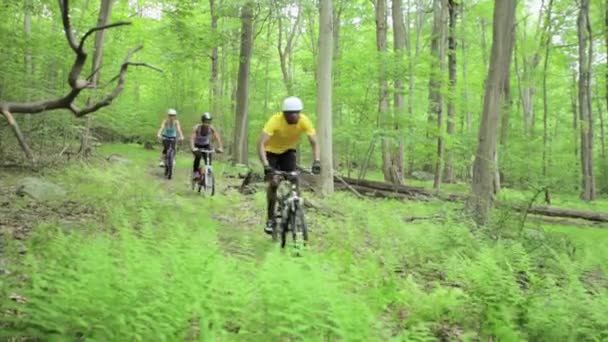 Cuatro Ciclistas Montando Bicicleta Montaña Través Del Bosque — Vídeo de stock