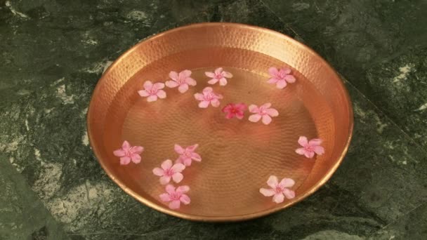 Cuenco Cobre Agua Con Flores Flotantes — Vídeo de stock