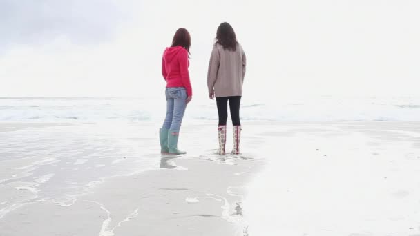 ビーチにいる2人の女の子 — ストック動画