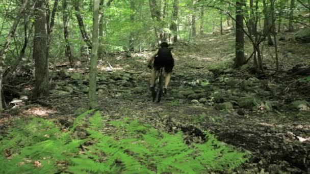 Ciclista Maschio Cavalcando Attraverso Foresta — Video Stock