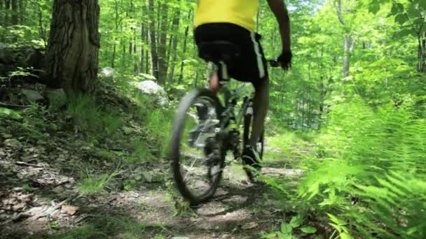 Ciclista Maschio Cavalcando Attraverso Foresta — Video Stock