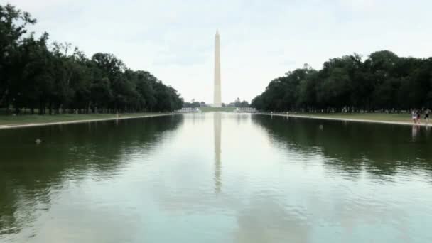 Jovem Caminhando Pela Piscina Refletora Monumento Washington — Vídeo de Stock