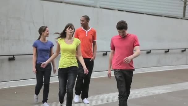 Bir Grup Genç Yetişkin Arkadaş Yürüyor — Stok video
