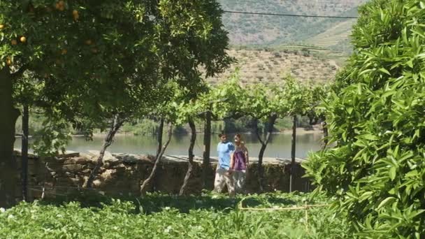 Couple Walking Vineyard Scenic Location — Stock Video