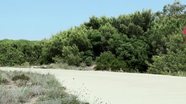 Tre Giovani Amici Che Corrono Strada Rurale — Video Stock