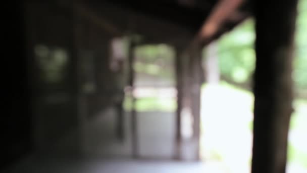 田舎の隠れ家で本と年配の男性 — ストック動画