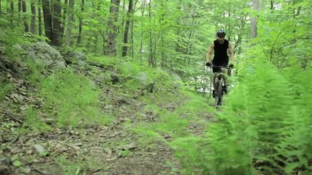森の中を走る男性サイクリスト — ストック動画