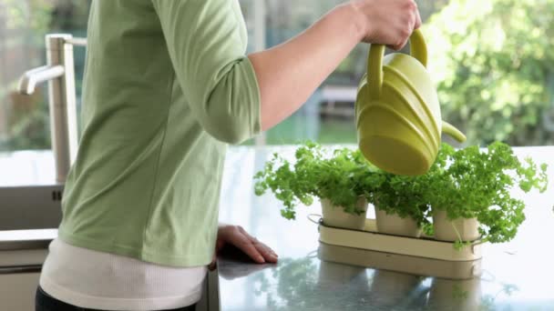 Woman Watering Herb Plants Kitchen — Stock Video