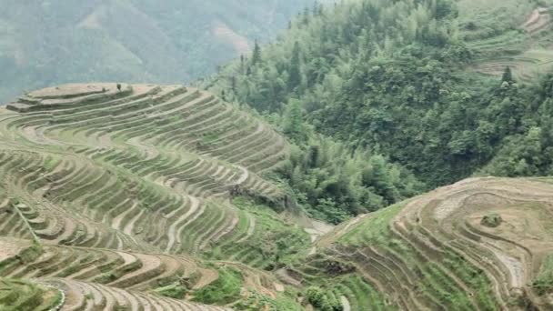 China Guangxi Longsheng Drachenrückgrat Reisterrassen — Stockvideo