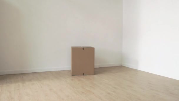 Zeitraffer Paar Stellt Pappkartons Ins Zimmer — Stockvideo
