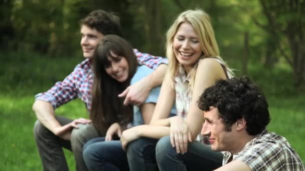 Group Young Adult Friends Laughing Smiling — Stock Video