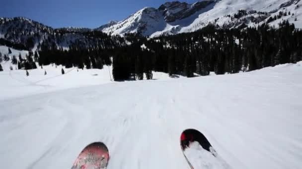 Ponto Vista Tiro Alguém Esquiando Paisagem Montanha — Vídeo de Stock