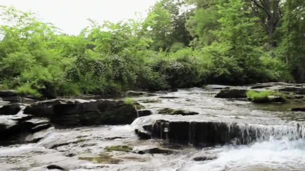 Pareja Madura Cariñosa Escena Rural — Vídeos de Stock