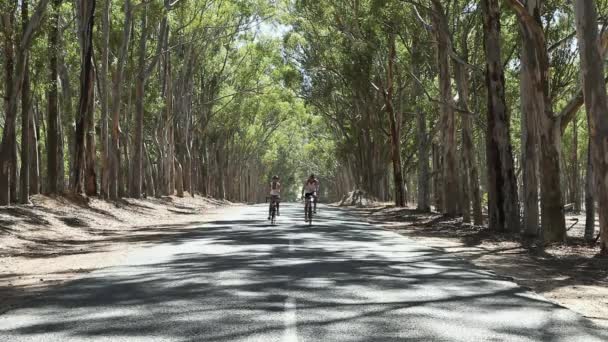 Pareja Joven Bicicleta Por Carretera Bosque — Vídeos de Stock