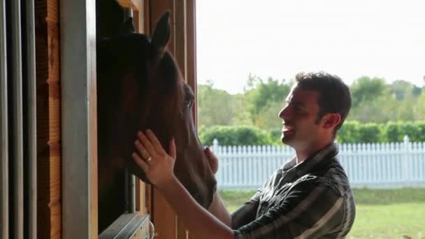 Homem Acariciando Cabeça Cavalo Estábulo — Vídeo de Stock