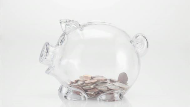 Transparent Piggy Bank Filling Coins White Background — Stock Video