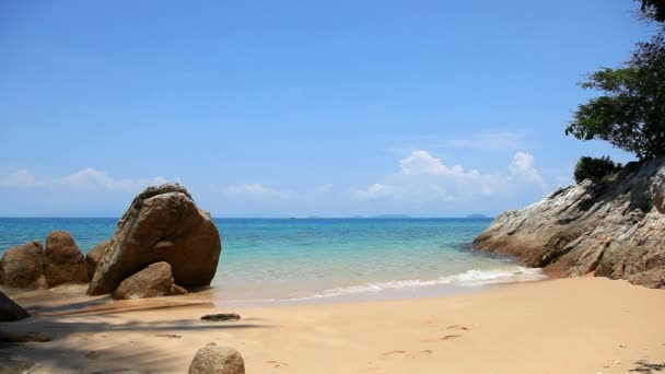 Pemandangan Pantai Tropis Pantai Petani Malaysia — Stok Video