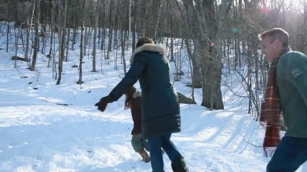 Famiglia Che Trasporta Albero Natale Attraverso Foresta — Video Stock