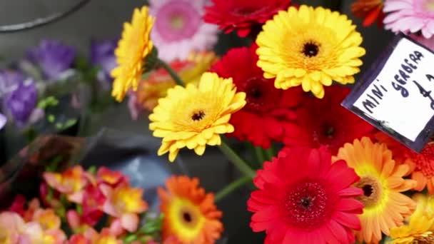 Bunte Gerbera Blumen Zum Verkauf Freien — Stockvideo