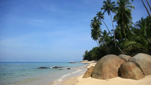 Utsikt Över Tropiska Kusten Petani Beach Malaysia — Stockvideo