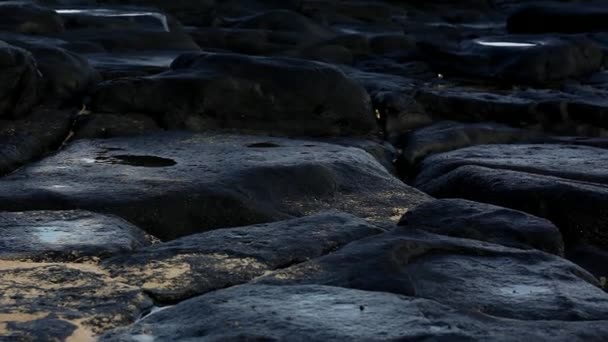 Schilderachtig Uitzicht Rotsachtige Strand Zee Kauai Hawaï — Stockvideo